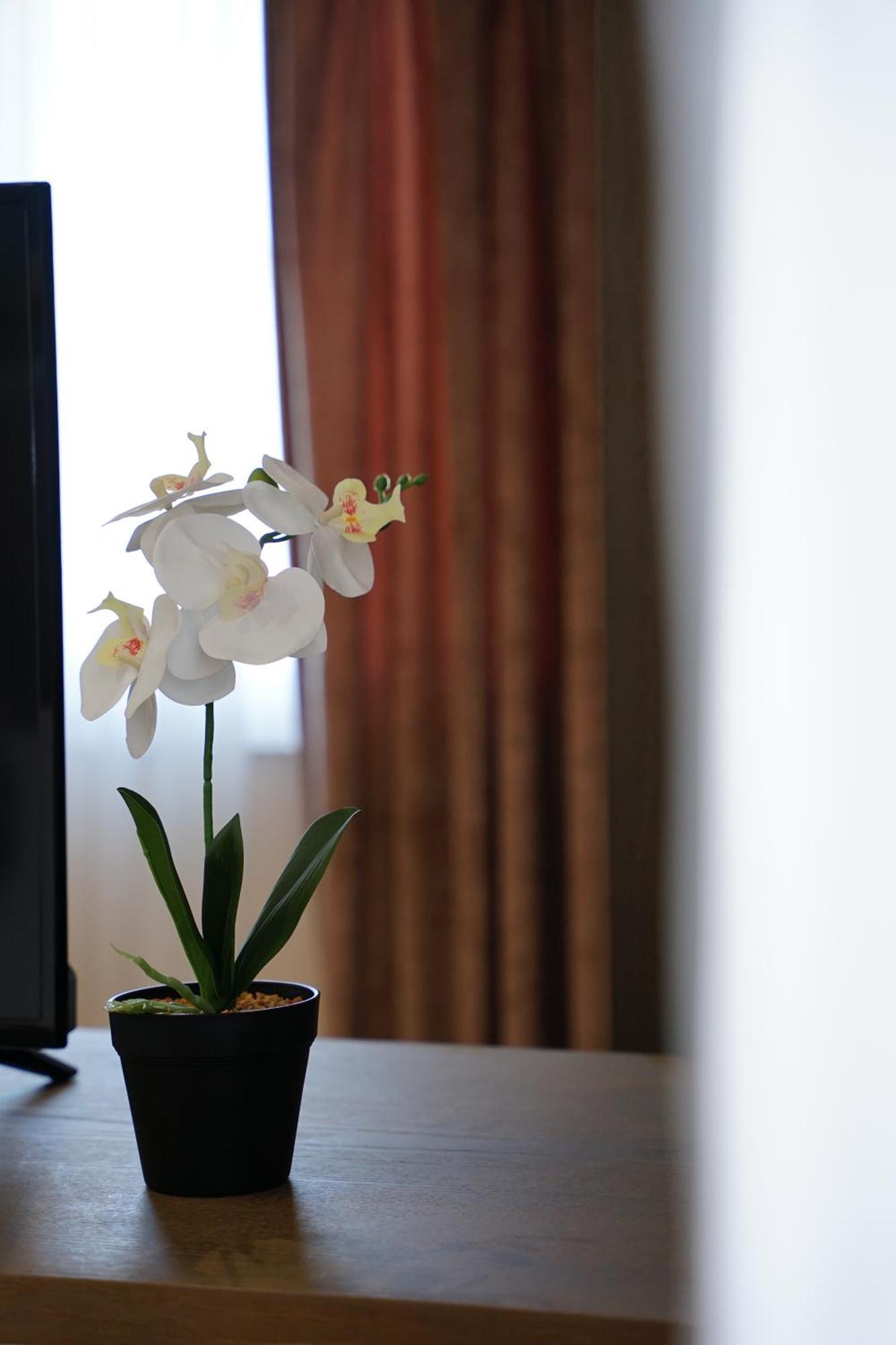 Doanesia Premium & Hotel